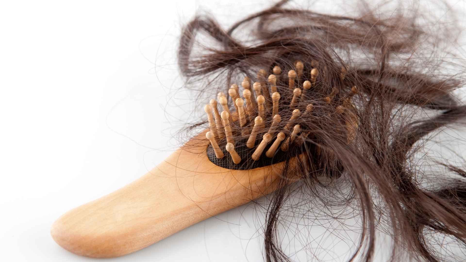 האמת על נשירת שיער אצל ילדים: מה שכל הורה צריך לדעת