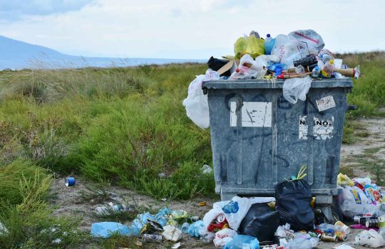 Waste Disposal and containers2